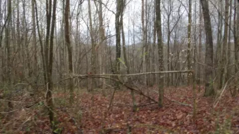 Other - 0 Denton Rd, Moss, TN 38575 photo 58 of 67