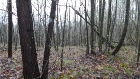 Other - 0 Denton Rd, Moss, TN 38575 photo 41 of 67