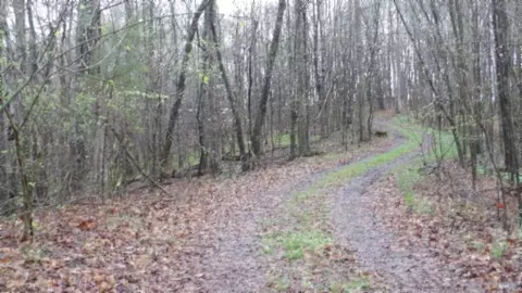 Other - 0 Denton Rd, Moss, TN 38575 photo 66 of 67