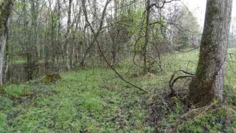 Other - 0 Denton Rd, Moss, TN 38575 photo 6 of 67