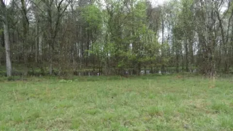 Other - 0 Denton Rd, Moss, TN 38575 photo 4 of 67