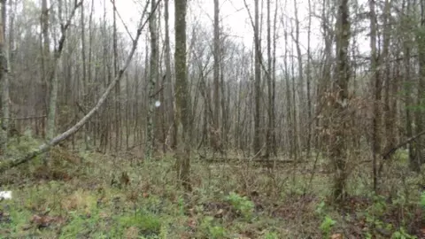 Exterior - 0 Denton Rd, Moss, TN 38575 photo 5 of 8