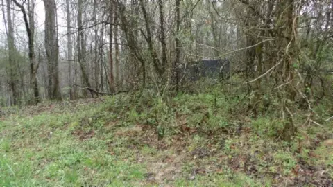 Exterior - 0 Denton Rd, Moss, TN 38575 photo 4 of 8