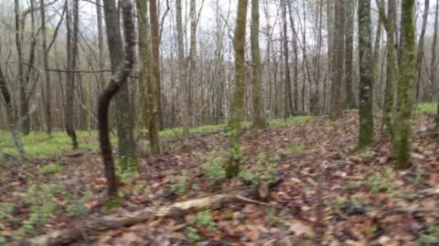 Other - 0 Denton Rd, Moss, TN 38575 photo 62 of 67