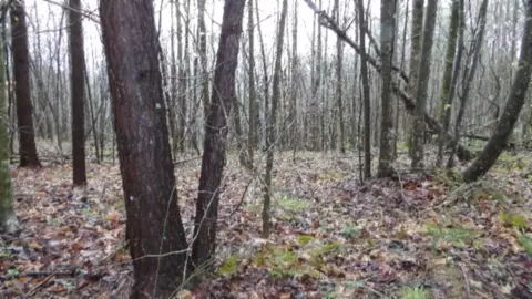 Other - 0 Denton Rd, Moss, TN 38575 photo 38 of 67