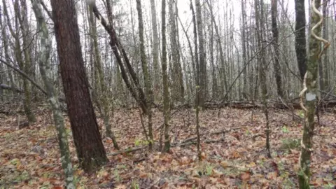 Other - 0 Denton Rd, Moss, TN 38575 photo 45 of 67