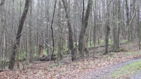Other - 0 Denton Rd, Moss, TN 38575 photo 67 of 67