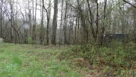 Other - 0 Denton Rd, Moss, TN 38575 photo 35 of 67