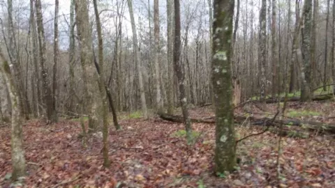 Other - 0 Denton Rd, Moss, TN 38575 photo 64 of 67
