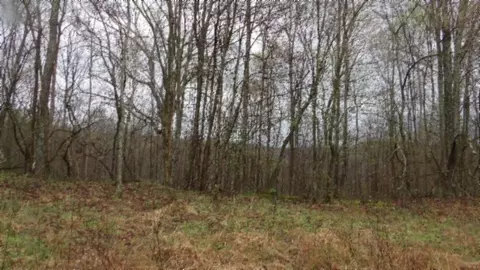 Other - 0 Denton Rd, Moss, TN 38575 photo 53 of 67