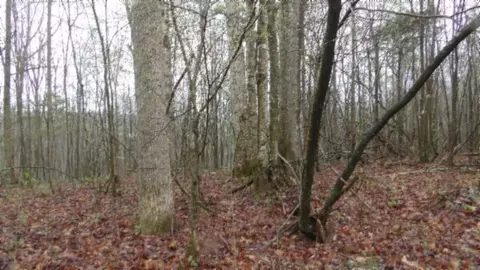 Other - 0 Denton Rd, Moss, TN 38575 photo 49 of 67