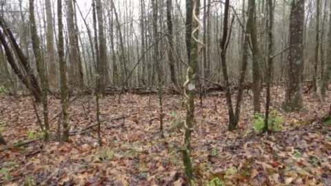 Other - 0 Denton Rd, Moss, TN 38575 photo 44 of 67