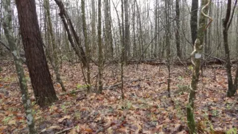 Other - 0 Denton Rd, Moss, TN 38575 photo 46 of 67