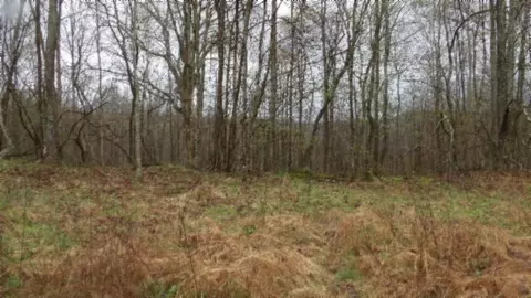 Other - 0 Denton Rd, Moss, TN 38575 photo 51 of 67