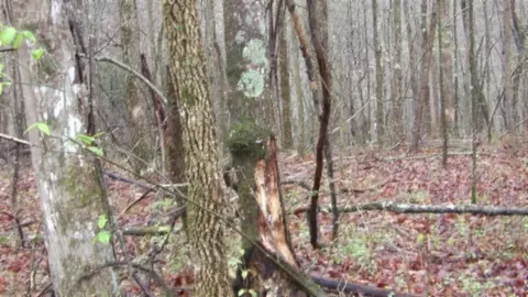 Other - 0 Denton Rd, Moss, TN 38575 photo 56 of 67
