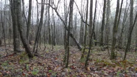 Other - 0 Denton Rd, Moss, TN 38575 photo 37 of 67