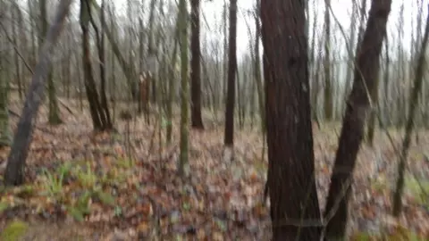 Other - 0 Denton Rd, Moss, TN 38575 photo 39 of 67