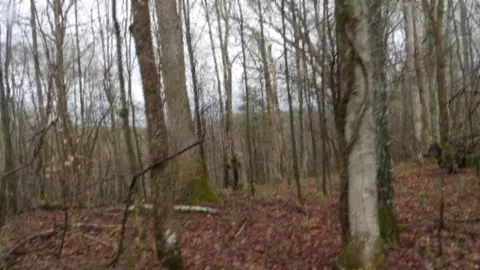 Other - 0 Denton Rd, Moss, TN 38575 photo 54 of 67