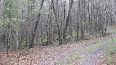 Other - 0 Denton Rd, Moss, TN 38575 photo 65 of 67