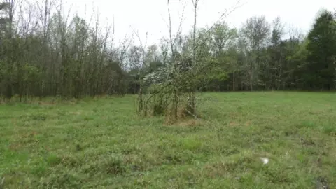 Other - 0 Denton Rd, Moss, TN 38575 photo 16 of 67