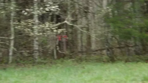 Other - 0 Denton Rd, Moss, TN 38575 photo 20 of 67