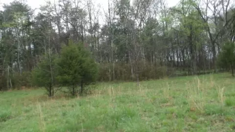 Other - 0 Denton Rd, Moss, TN 38575 photo 18 of 67