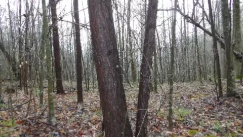 Other - 0 Denton Rd, Moss, TN 38575 photo 40 of 67