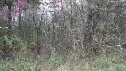 Other - 0 Denton Rd, Moss, TN 38575 photo 22 of 67