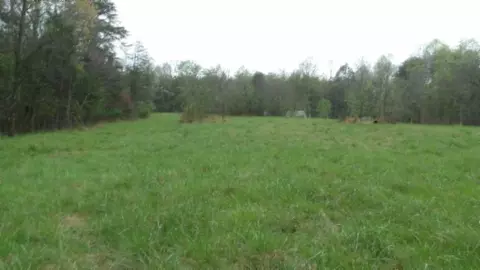 Other - 0 Denton Rd, Moss, TN 38575 photo 32 of 67