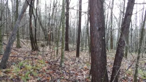 Exterior - 0 Denton Rd, Moss, TN 38575 photo 6 of 8