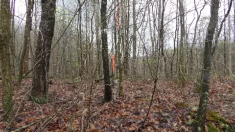 Exterior - 0 Denton Rd, Moss, TN 38575 photo 8 of 8