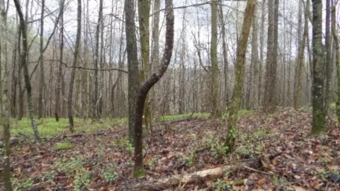 Other - 0 Denton Rd, Moss, TN 38575 photo 63 of 67