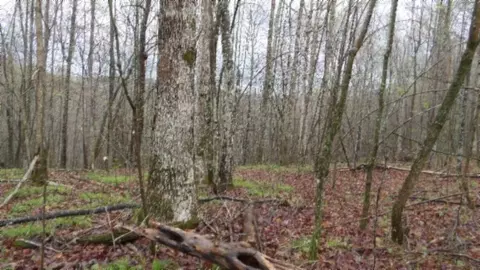 Other - 0 Denton Rd, Moss, TN 38575 photo 60 of 67