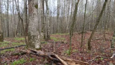Other - 0 Denton Rd, Moss, TN 38575 photo 59 of 67
