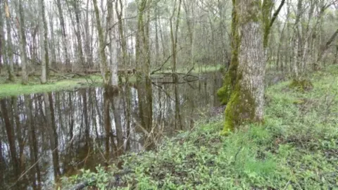 Other - 0 Denton Rd, Moss, TN 38575 photo 9 of 67
