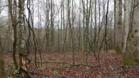 Other - 0 Denton Rd, Moss, TN 38575 photo 55 of 67