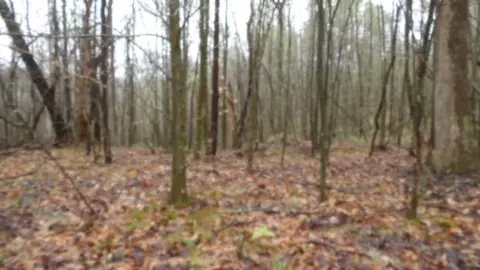 Other - 0 Denton Rd, Moss, TN 38575 photo 43 of 67
