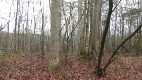 Other - 0 Denton Rd, Moss, TN 38575 photo 48 of 67