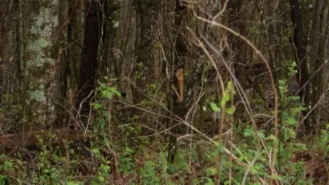 Other - 0 Denton Rd, Moss, TN 38575 photo 24 of 67