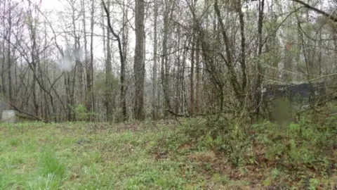 Other - 0 Denton Rd, Moss, TN 38575 photo 34 of 67