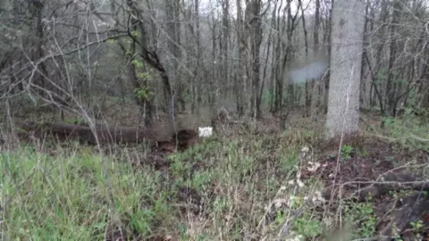 Other - 0 Denton Rd, Moss, TN 38575 photo 30 of 67