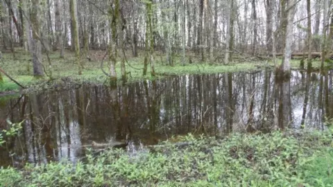 Other - 0 Denton Rd, Moss, TN 38575 photo 8 of 67