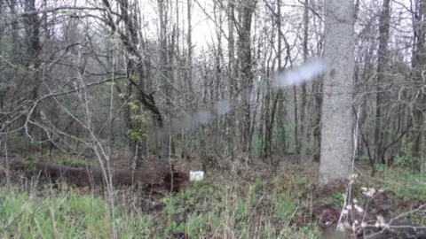 Other - 0 Denton Rd, Moss, TN 38575 photo 31 of 67