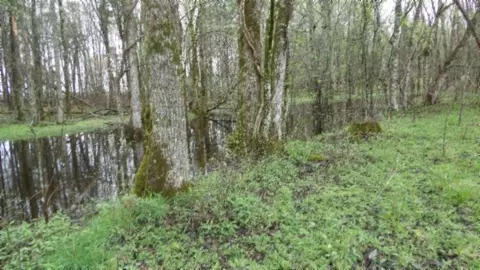 Other - 0 Denton Rd, Moss, TN 38575 photo 5 of 67