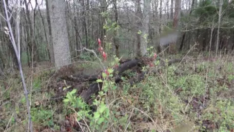 Other - 0 Denton Rd, Moss, TN 38575 photo 29 of 67