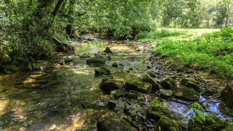 2203 Stones River Rd, Woodbury, TN 37190