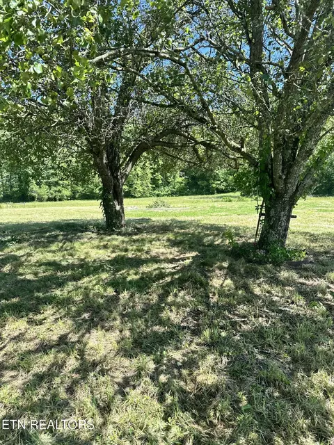 3169 Hinds Creek Rd, Heiskell, TN 37754
