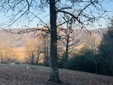 0 Skyhigh Dr, Dunlap, TN 37327 photo 3