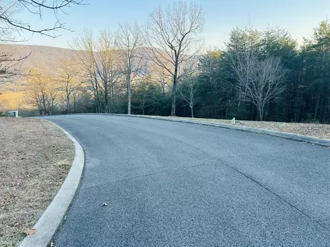 0 Skyhigh Dr, Dunlap, TN 37327 photo 4