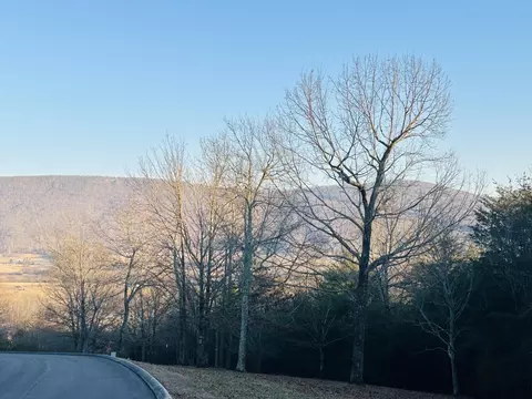 0 Skyhigh Dr, Dunlap, TN 37327 photo 7